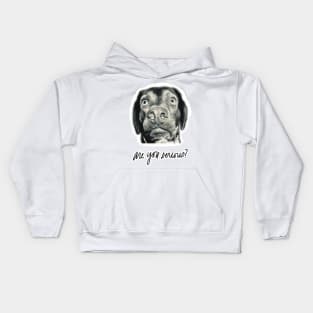 Are You Serious? Kids Hoodie